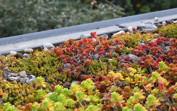 the cost of Tydd Gote green roof installation