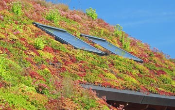 Tydd Gote living roof systems