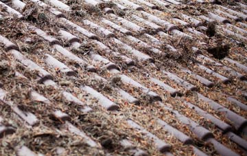 Tydd Gote roof cleaning companies