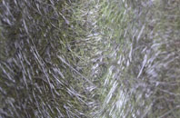 Tydd Gote fibreglass roof work