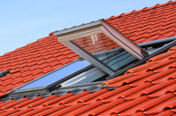 Tydd Gote roof window